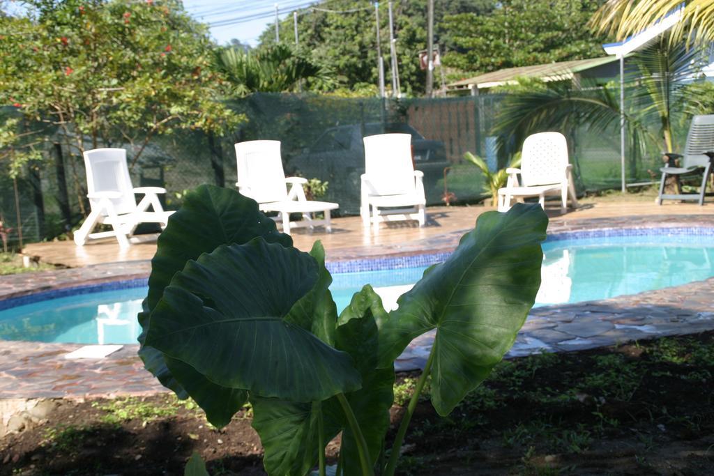 Hakuna Matata Hostel Cahuita Esterno foto