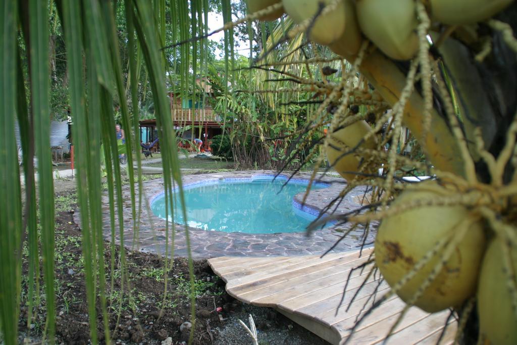 Hakuna Matata Hostel Cahuita Esterno foto