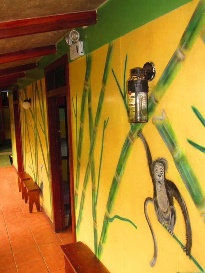 Hakuna Matata Hostel Cahuita Esterno foto